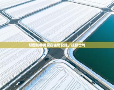 斯图加特再度在主场获胜，提振士气