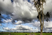 乌迪内斯备战希伯伦，势必创造奇迹