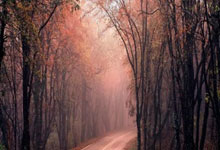 葡萄牙欧预赛完胜威尔士，C罗完美发挥