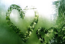 兰斯主场失利，积分榜位置下降