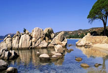 葡萄牙欧预赛完胜威尔士，C罗完美发挥