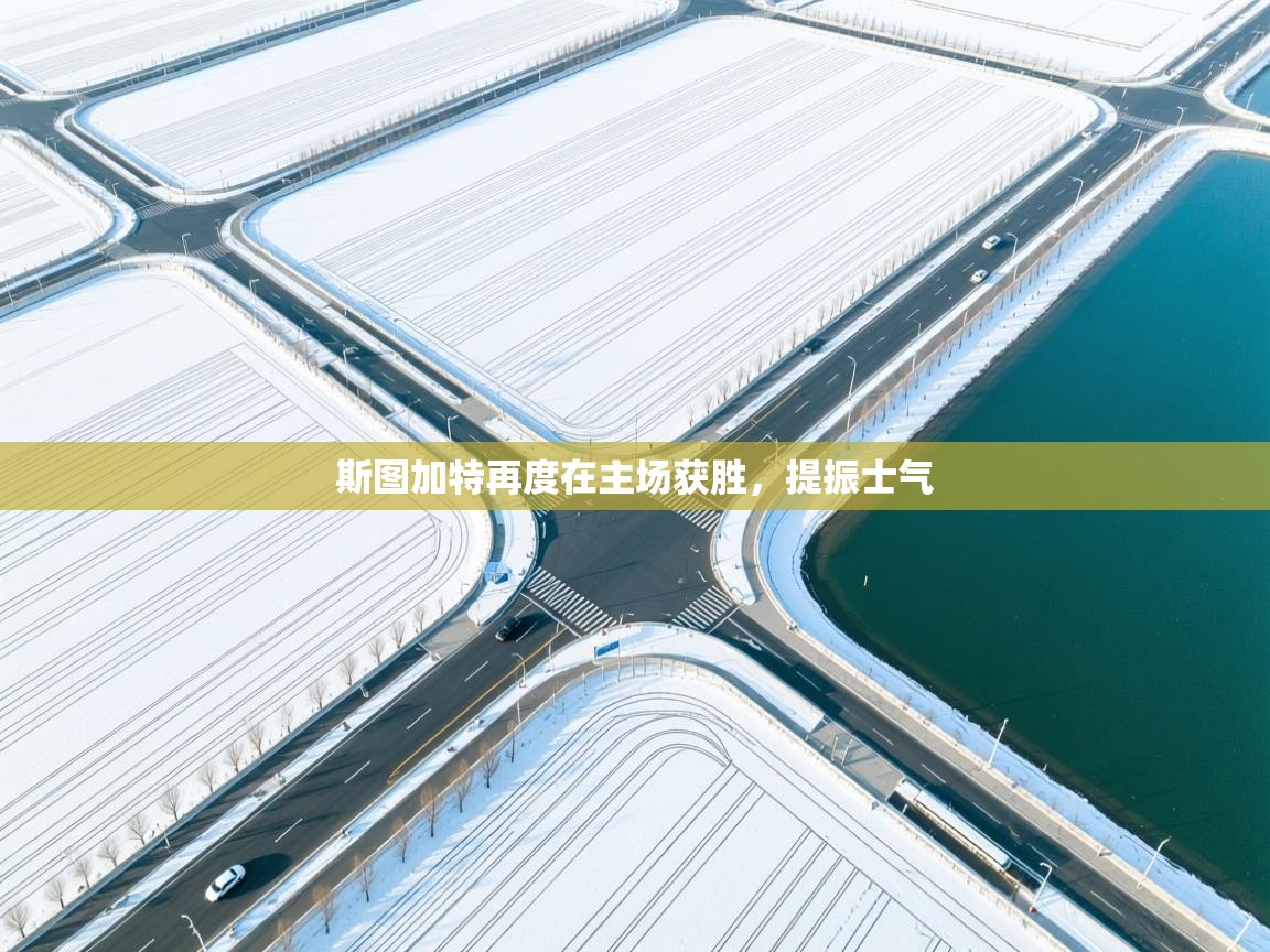 斯图加特再度在主场获胜,提振士气 第1张