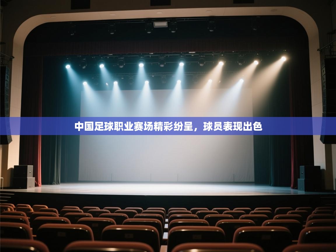 中国足球职业赛场精彩纷呈，球员表现出色  第1张
