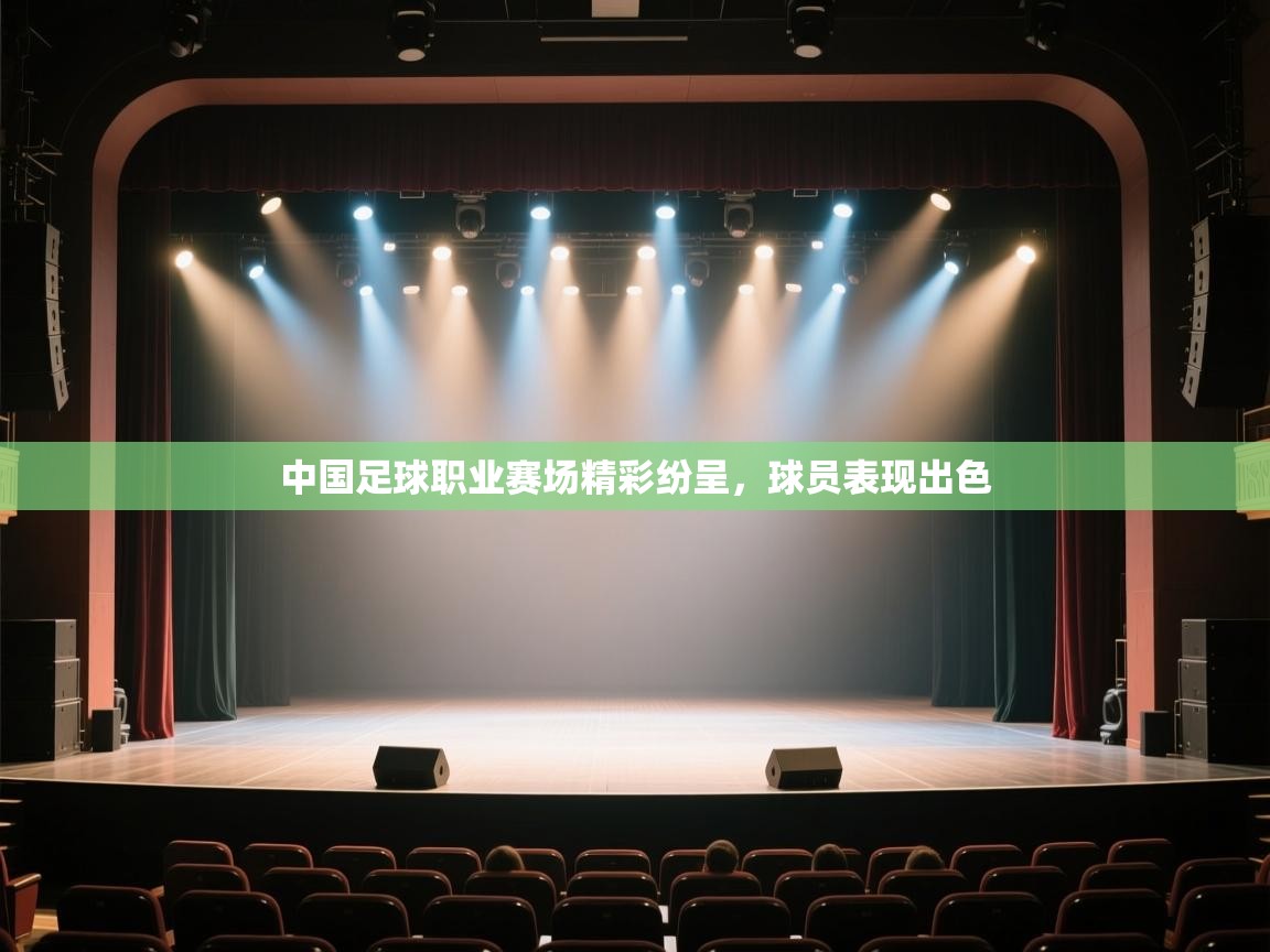 中国足球职业赛场精彩纷呈，球员表现出色  第2张