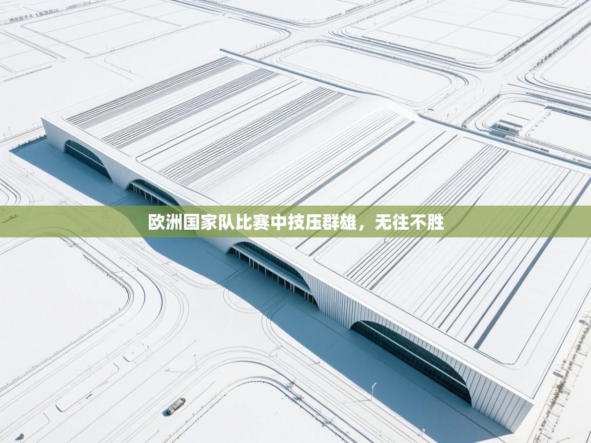 欧洲国家队比赛中技压群雄，无往不胜  第1张